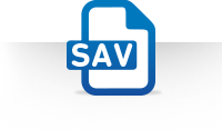 SPSSExport